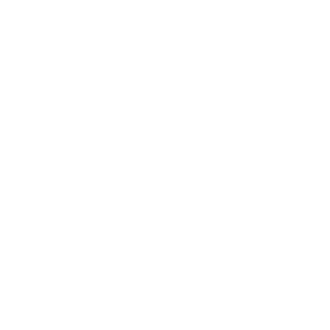 capgemini